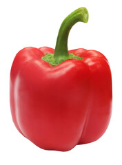 Red capsicum