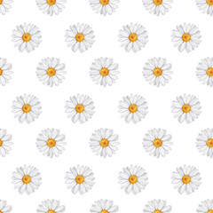 Fototapeta premium Watercolor floral pattern with daisies, wildflowers, summer print