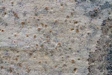 photo of rough wall texture with speckles