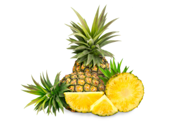 whole pineapple and pineapple slice. Pineapple with leaves isolated on transparent background with clipping path, single whole pineapple and pineapple slice. with clipping path and alpha channel.
