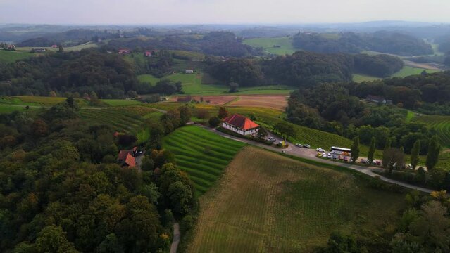 Malek is a charming wine cottage located in Svetinje, a small village in the northeastern part of Slovenia. This traditional cottage is surrounded by rolling hills and vineyards.