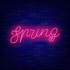 Spring neon lettering. Season evening. Pink event advertising on brick wall. Vector stock illustration