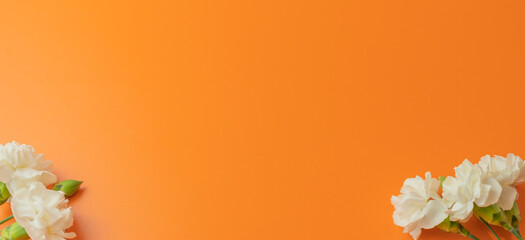 Simple orange background with white flowers on the sides