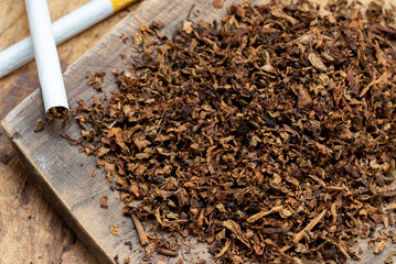 tobacco leaves and handmade cigarettes on a wooden background with high angle view