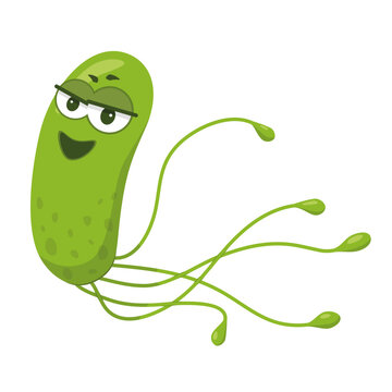 Vector illustration of a Helicobacter Pylori bacteria in cartoon style isolated on white background