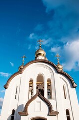 Domes of the Holy Trinity Church, Orenburg, Russia