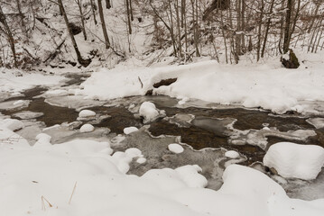 Winter Romanian landscape. Snowy Carpathian forests.