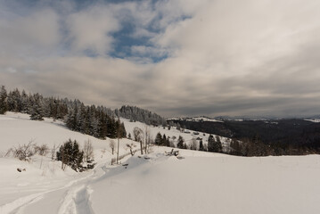 Obraz premium Winter Romanian landscape. Snowy Carpathian forests.