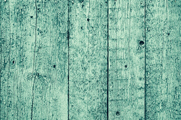 Fototapeta na wymiar Old muted green wood surface, with an abstract and expressive pattern- Texture for the background