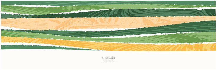 Rice field collage pattern or abstract agriculture vector background with texture. Stripe japan farmland, green ecology design. Rural farm, Thailand countryside, agro illustration. Eco vineyard banner