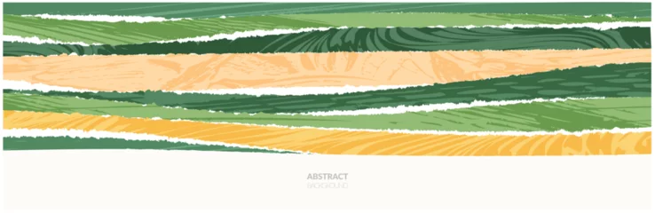 Abwaschbare Fototapete Rice field collage pattern or abstract agriculture vector background with texture. Stripe japan farmland, green ecology design. Rural farm, Thailand countryside, agro illustration. Eco vineyard banner © Maria Petrish