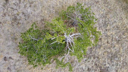 arial view of Divcibare mountain in early Autumn