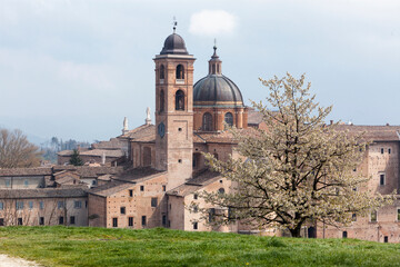 Fototapeta na wymiar Palazzo Ducale di Urbino. Veduta dall' alto 