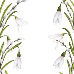 Watercolor easter illustration of pussy-willow branches and snowdrops bouquet on white background, frame