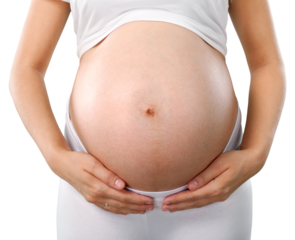 Cute pregnant belly isolated on white