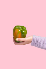 Woman's hand holding ripe green bell pepper on pink background, minimal style, copy space