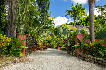 Hunt's garden, tropical vegetation in Barbados - obrazy, fototapety, plakaty
