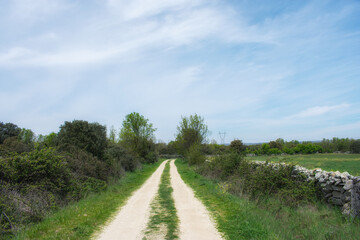 Fototapeta na wymiar dirt road under a blue sky in the middle of a green field
