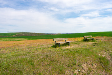 bench in a green field sown with blue sky with clouds