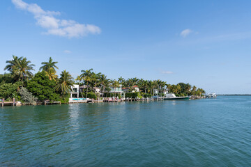 summer skyline landscape with palm trees and houses