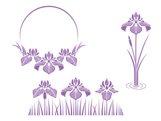 菖蒲のフレームとデザイン（紫） - obrazy, fototapety, plakaty
