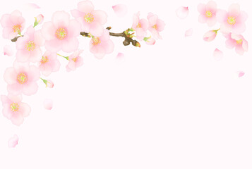 水彩調の桜のピンク色フレーム（ソメイヨシノ）