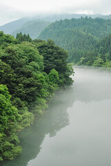 Japanese scenery - foggy river