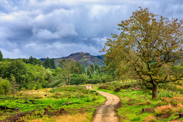 The hills near Kilmichael Glassary, Argyll, Scotland, United Kingdom