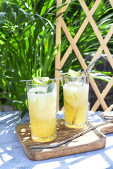 Refreshing summer cocktail, melon smoothie with ice and lime. The concept of vegetarian summer drinks. Ideal for detox