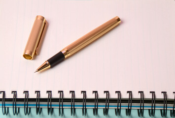 Notebook and pen. Open diary and pen to record