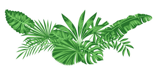 Background with stylized palm leaves. Image of tropical foliage and plants.