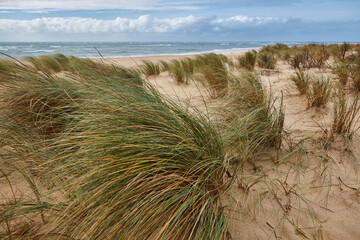 Arcachon bay and Pilat dune in Aquitaine. Atlantic coastline, France - obrazy, fototapety, plakaty