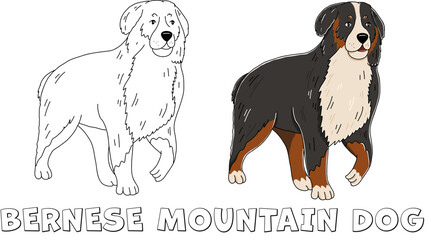 Bernese Mountain Dog cute vector outline cartoon illustration for coloring book isolated on white background