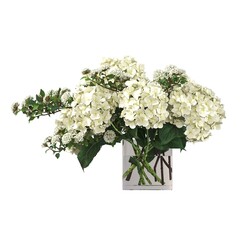 decorative flowers and plants for the interior, isolated on white background, 3D illustration, cg render