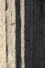 Obraz premium black and white texture