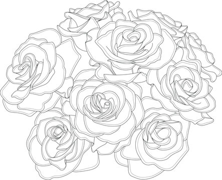 Realistic rose flower bouquet graphic sketch template. Valentines day and wedding vector illustration in black and white for games, background, pattern, decor. Coloring paper, page, story book, print