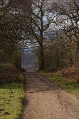a path that leads you through Castlemorton common and up the Malvern hills