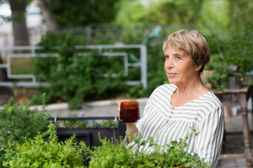 happy senior woman drinking tea in the garden in which fragrant herbs grow near the house in summer.  enjoying summer outdoors.