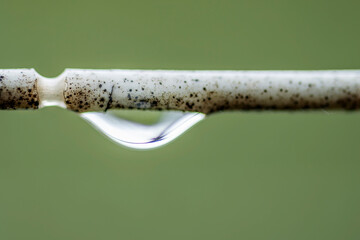 A drop of rain close up on a washing line, dirty with mold stains