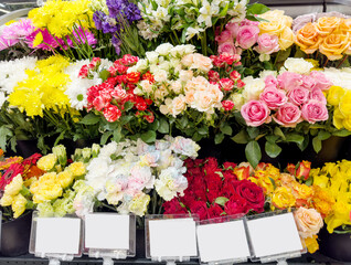  buying flowers at a garden center .