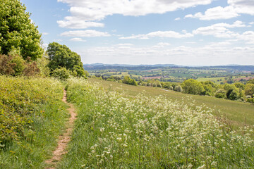 Walking tracks in the summertime hills of England.