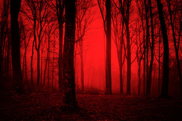 dark scary forest at night, surreal horror woods - obrazy, fototapety, plakaty