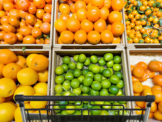buying fruits at the market(oranges, tangerines, lemons, lime)
