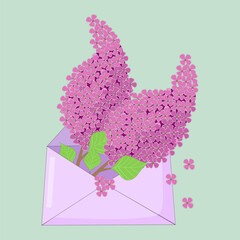 vector illustration lilac branch in a paper envelope