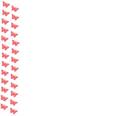 Mariposas rosas sobre un fondo blanco liso y aislado. Vista de frente y de cerca. Copy space