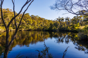 Forrest lake inviting for a swim in Mount Frankland National Park in Western Australia