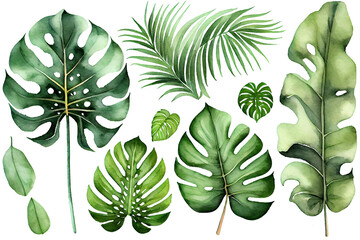 Exotic plants, palm leaves, monstera on an isolated white background, watercolor illustration. Trendy botanic illustration. Generative Ai. - obrazy, fototapety, plakaty