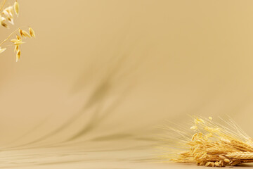 Minimal abstract background for the presentation of products. Natural podium with a shadows of rye...