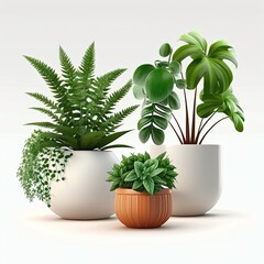 Fototapeta na wymiar Vector set houseplant in pot, realistic front view. 3D Illustration green of indoor plant isolated on a white background. Generative AI