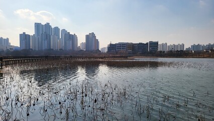 하늘과 바다와 과일